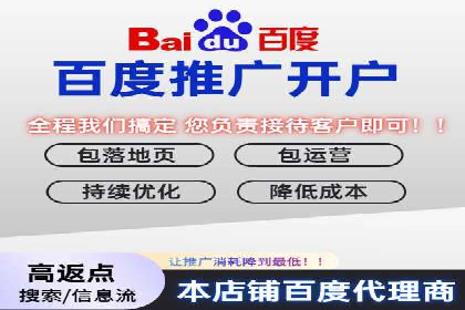 百度竞价代运营成功案例解析